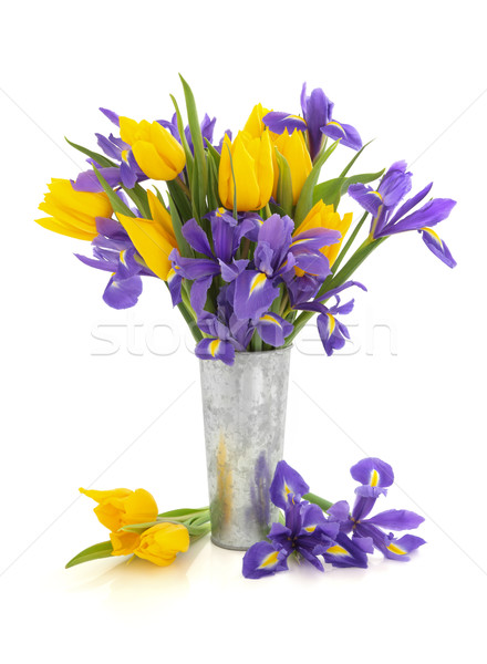 Сток-фото: Tulip · Iris · цветы · Purple · желтый · цветок