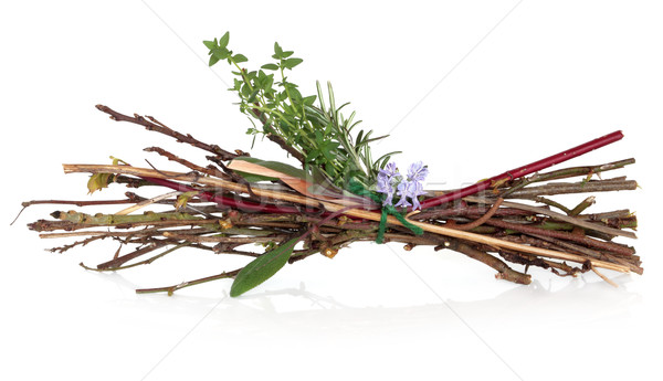 Herbes romarin herbe fleurs blanche sorcière [[stock_photo]] © marilyna