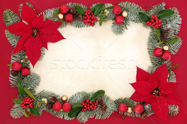 Poinsettia Flower Background Border Stock photo © marilyna