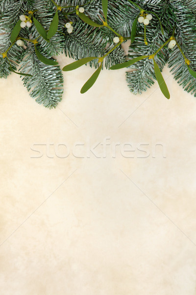 ель омела белая границе Рождества аннотация флора Сток-фото © marilyna