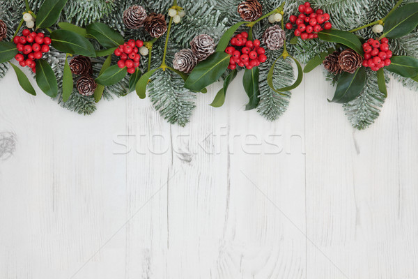 [[stock_photo]]: Traditionnel · Noël · frontière · hiver · flore · gui