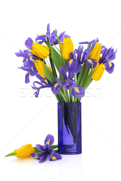 írisz tulipán virágok citromsárga virág egyezség Stock fotó © marilyna
