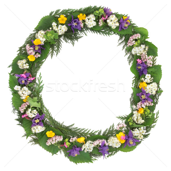 Stock fotó: Vadvirág · koszorú · tavaszi · virágok · virág · fehér · virág