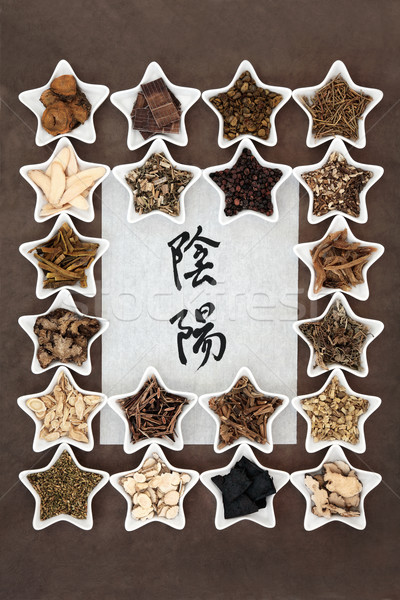 Yin and Yang Herbs Stock photo © marilyna
