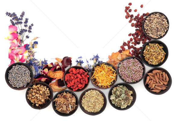 Herbal Medicine Stock photo © marilyna