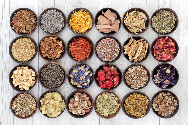 Herbal Medicine Stock photo © marilyna