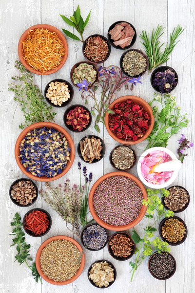Natural Herbal Medicine Stock photo © marilyna