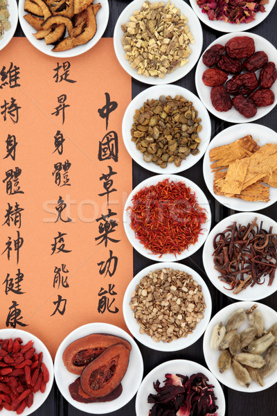 Salute cinese mandarino calligrafia Foto d'archivio © marilyna