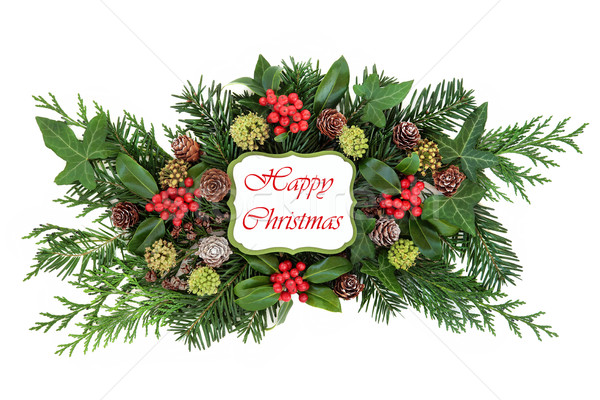Happy Christmas Decoration  Stock photo © marilyna