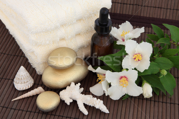 Luxury Spa Treatment Stock photo © marilyna