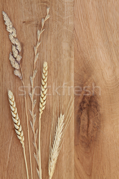 Belleza natural roble hierba textura resumen Foto stock © marilyna