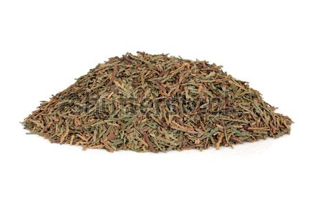 Biota Herb Leaves Stock photo © marilyna