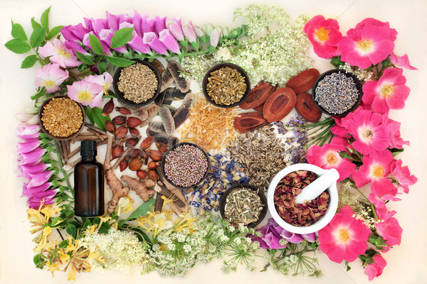 Natürlichen Kräutermedizin Kraut Blume Sammlung benutzt Stock foto © marilyna