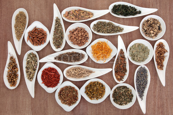 Stock photo: Herb and Spice Sampler