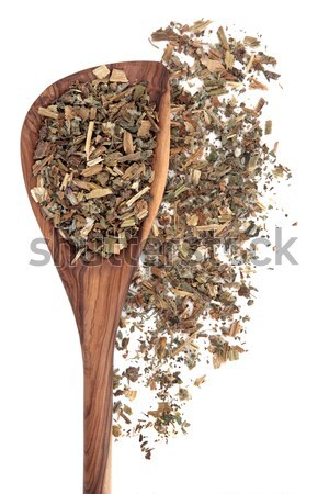 Agrimony Herb Stock photo © marilyna