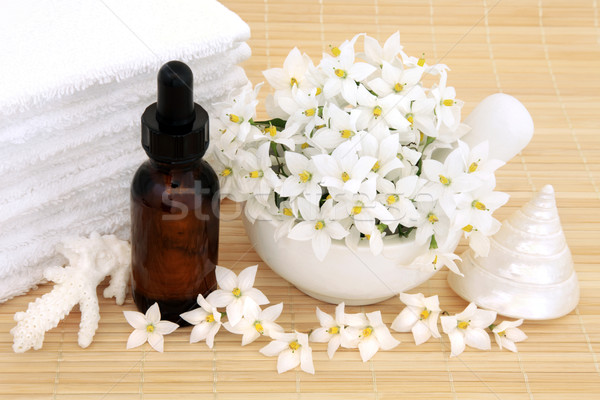 Természetes szépség kezelés aromaterápia természetes egészség virágok Stock fotó © marilyna