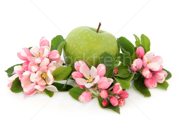 бабушка яблоко зеленый цветок Blossom белый Сток-фото © marilyna