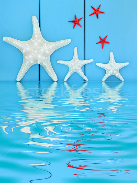 Denizyıldızı ahşap mavi yansıma su Stok fotoğraf © marilyna