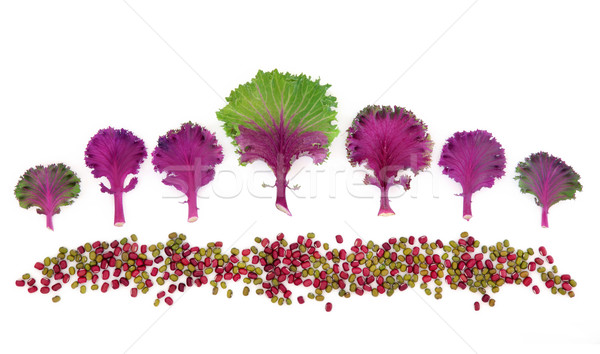 Food Art Abstract Stock photo © marilyna