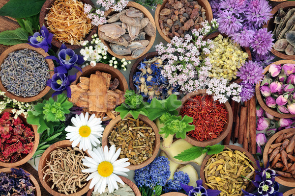 Herbal Medicine with Herbs and Flowers Stock photo © marilyna