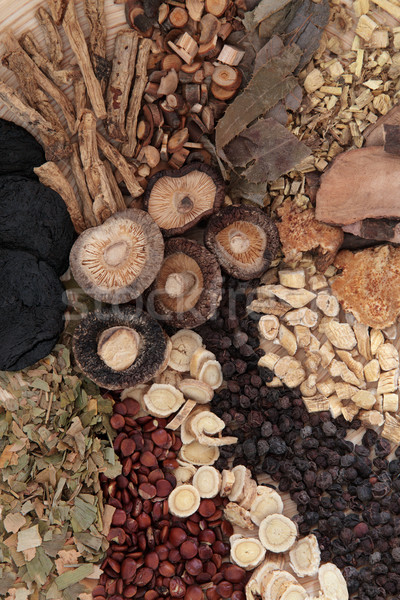 Chinese Herbs Stock photo © marilyna