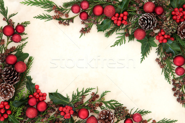 Floral Grenze Weihnachten abstrakten rot Spielerei Stock foto © marilyna