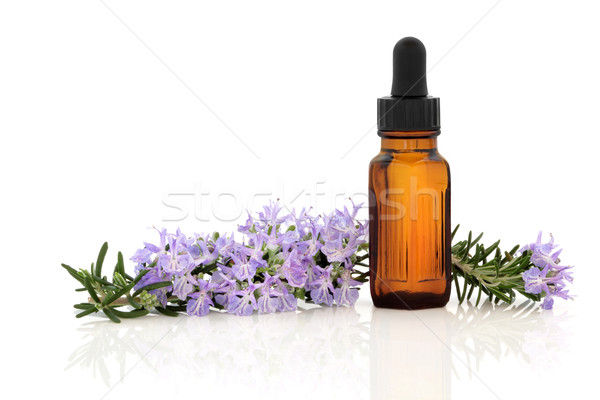 Rosmarijn kruid essence bloem blad aromatherapie Stockfoto © marilyna