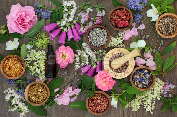 Naturopathic Flowers and Herbs Stock photo © marilyna