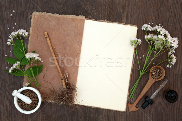 Valerian Herb Flowers and Root Stock photo © marilyna