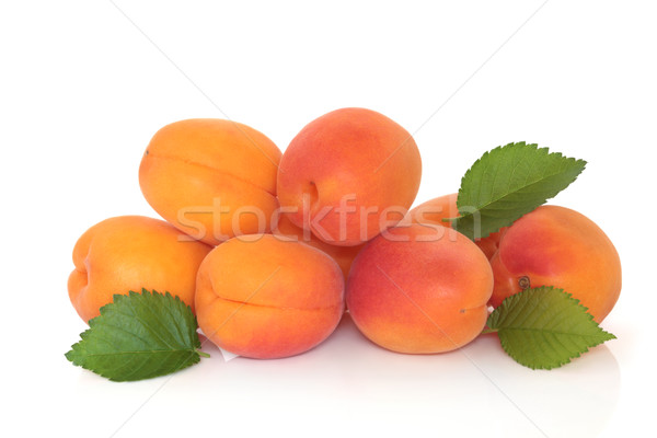 Abricot fruits feuille isolé blanche fraîches [[stock_photo]] © marilyna