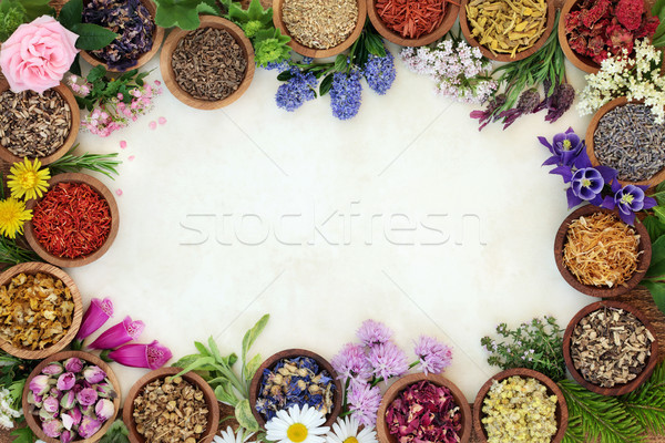 Gyógyászati gyógynövény virág keret friss aszalt Stock fotó © marilyna