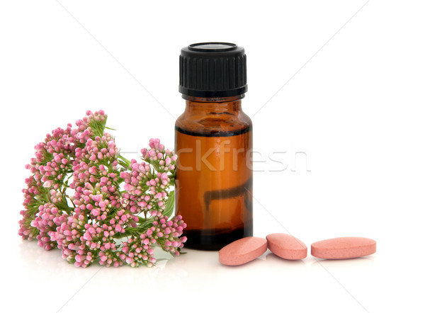 Valerian Herb Therapy Stock photo © marilyna