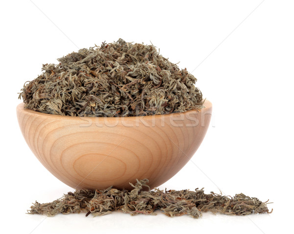Stock photo: Capillaries Herb