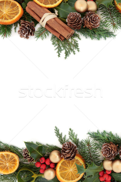 [[stock_photo]]: Noël · décoratif · frontière · floral · séché · fruits · orange