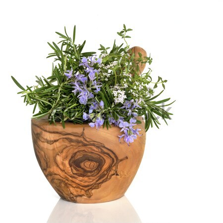 商業照片: 草本植物 · 葉 · 聖人 · 牛至 · 迷迭香 · 花卉