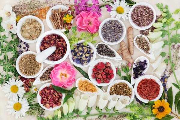 Alternative Herbal Medicine Stock photo © marilyna