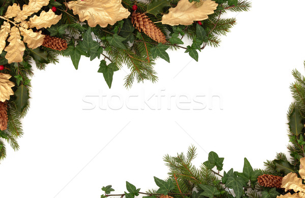 Tél növényvilág állatvilág karácsony keret borostyán Stock fotó © marilyna