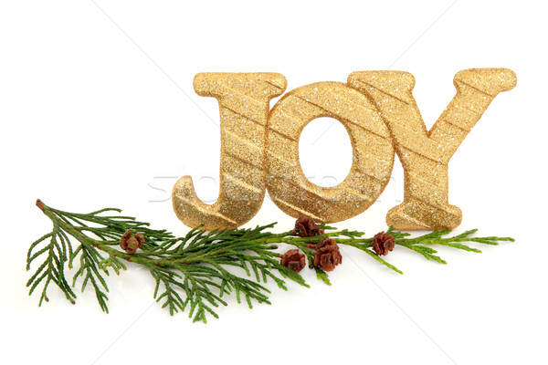 Stockfoto: Christmas · vreugde · goud · schitteren · teken