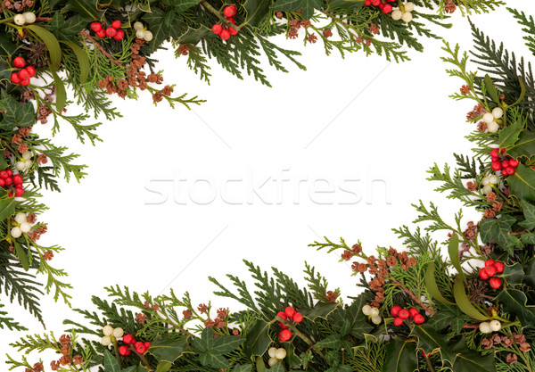 Natale confine tradizionale ivy vischio cedro Foto d'archivio © marilyna