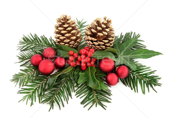 Foto d'archivio: Natale · decorazione · rosso · ivy · oro · pino