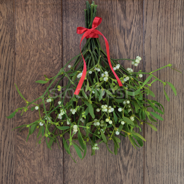 Foto stock: Muérdago · Navidad · planta · bayas · rojo