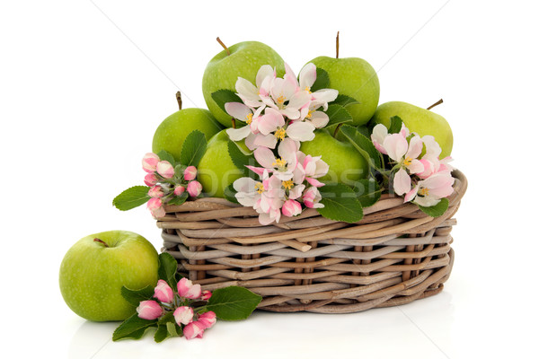 яблоко фрукты цветок Blossom деревенский плетеный Сток-фото © marilyna