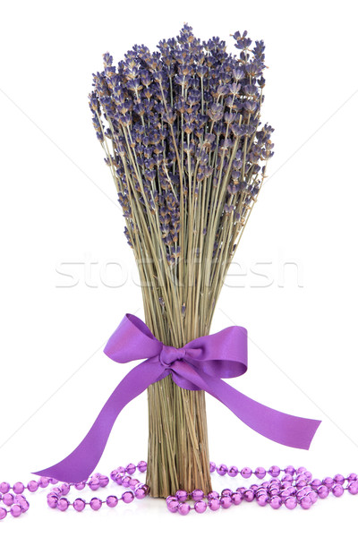 [[stock_photo]]: Lavande · herbe · fleurs · fleur · pourpre · satin
