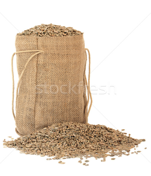 Rye Grain Stock photo © marilyna