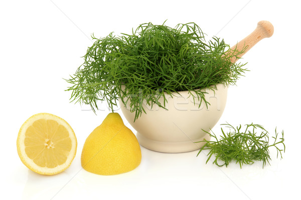 Dill Herb and Lemon  Stock photo © marilyna