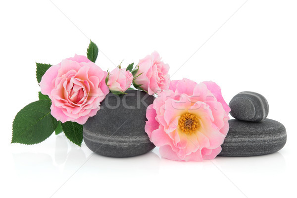 自然の美 ピンクのバラ 花 アレンジメント グレー 砂利 ストックフォト © marilyna