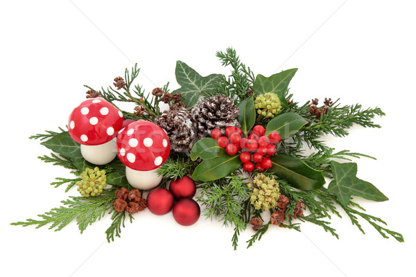 Christmas dekoracji dekoracyjny Widok czerwony latać Zdjęcia stock © marilyna