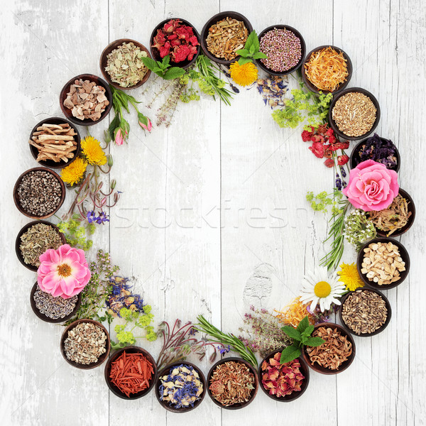 Medicinal Flowers and Herbs Stock photo © marilyna
