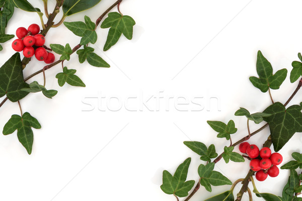Holly and Ivy Abstract Border Stock photo © marilyna