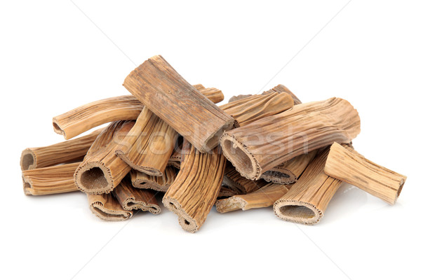 Reed Root Stock photo © marilyna